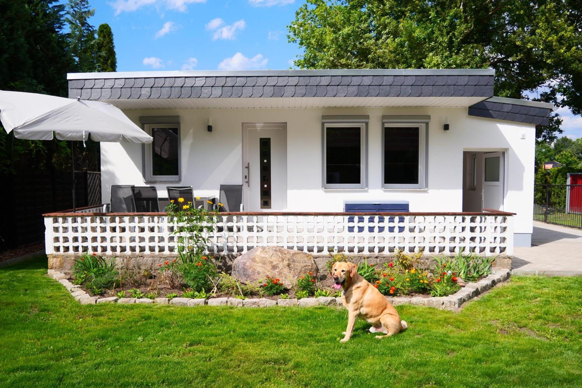 Haus Kleiner Findling Im Lausitzer Seenland Tatzschwitz Exterior photo